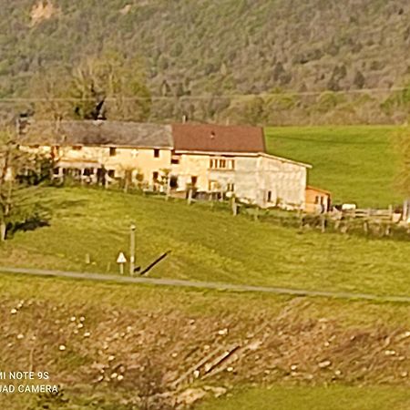 La Chambre Savoyarde Chez Les Garcons Saint-Paul-sur-Yenne Экстерьер фото